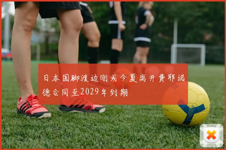 日本国脚渡边刚或今夏离开费耶诺德合同至2029年到期