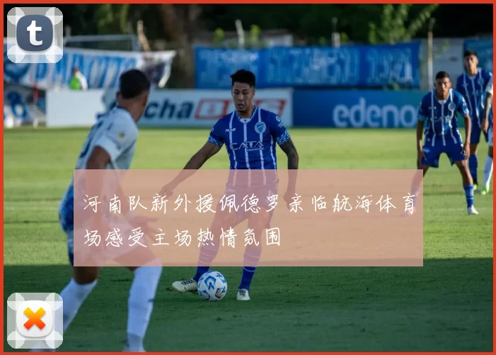 河南队新外援佩德罗亲临航海体育场感受主场热情氛围