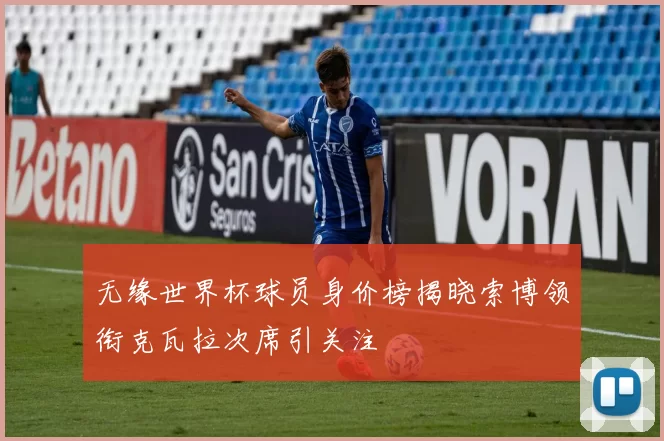 无缘世界杯球员身价榜揭晓索博领衔克瓦拉次席引关注